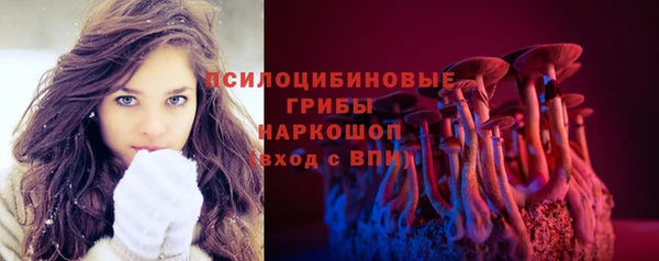 бошки Пенза