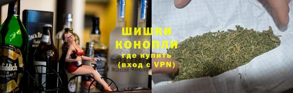 ГАЛЛЮЦИНОГЕННЫЕ ГРИБЫ Горняк