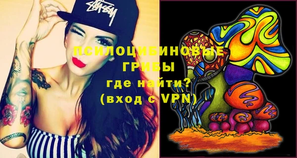 прущие грибы Балашиха