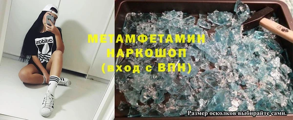 прущие грибы Балашиха