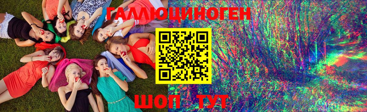 Галлюциногенные грибы Psilocybe  Вход с VPN  Галлюциногенные грибы ЛСД  Александров 