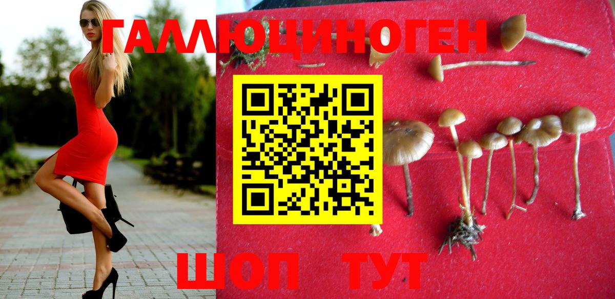 Галлюциногенные грибы мицелий Александров