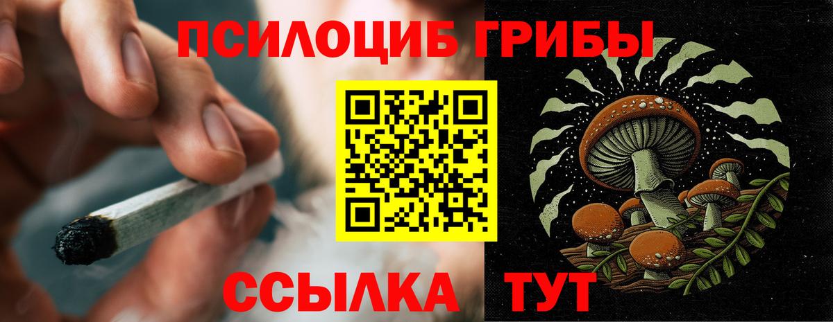 Псилоцибиновые грибы GOLDEN TEACHER  Александров  Псилоцибиновые грибы прущие грибы 