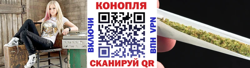 цены наркотик  MEGA ONION  Каннабис SATIVA & INDICA  Александров 